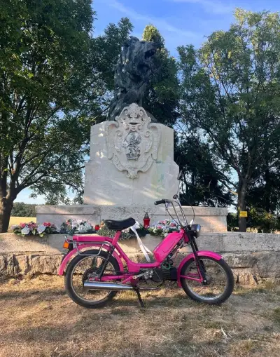 Babeta 210