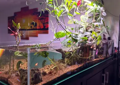 Paludarium
