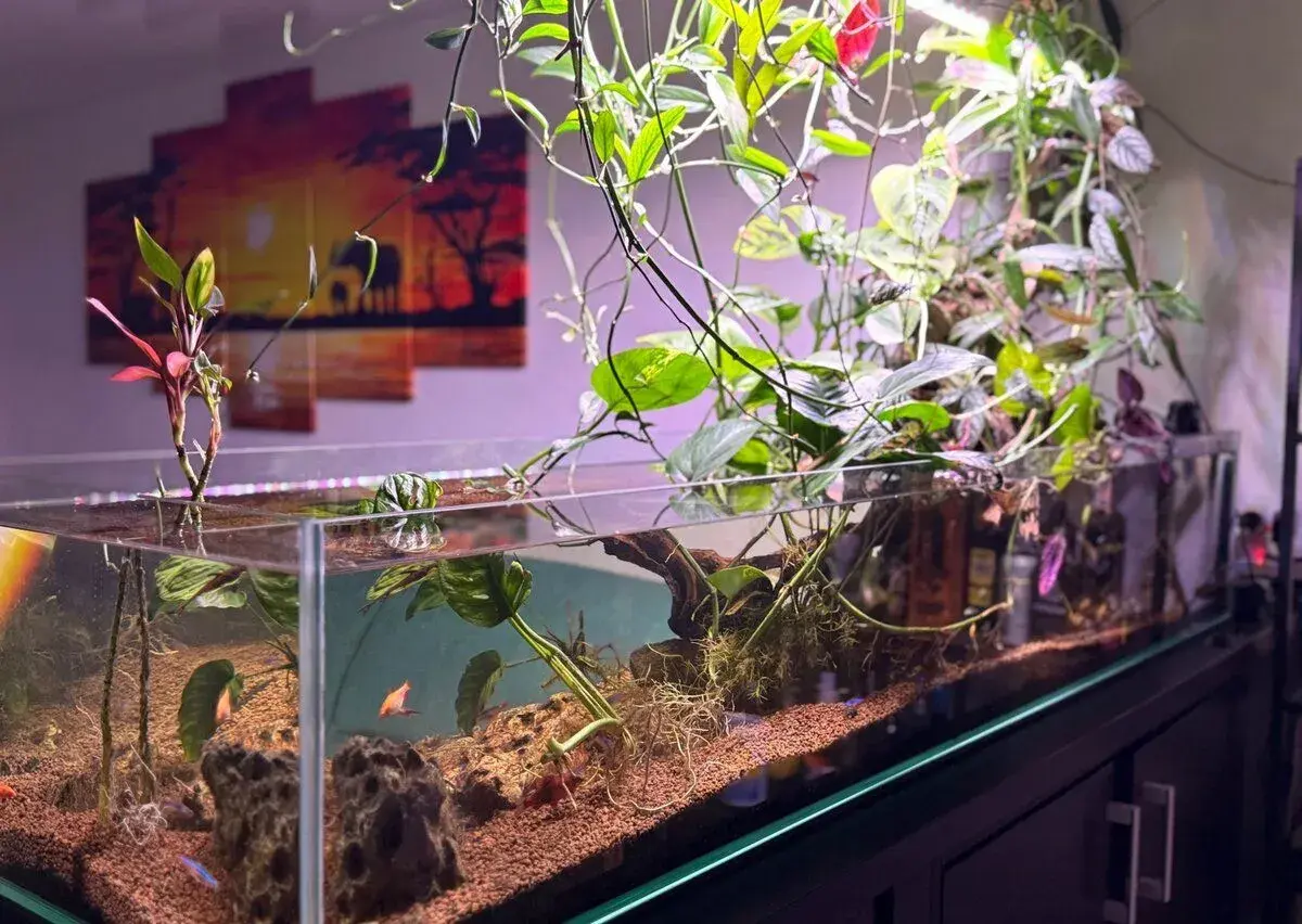 Paludarium