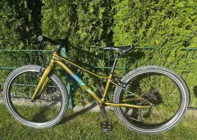 Detský bicykel Superior FLY 24