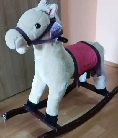 Hojdaci konik