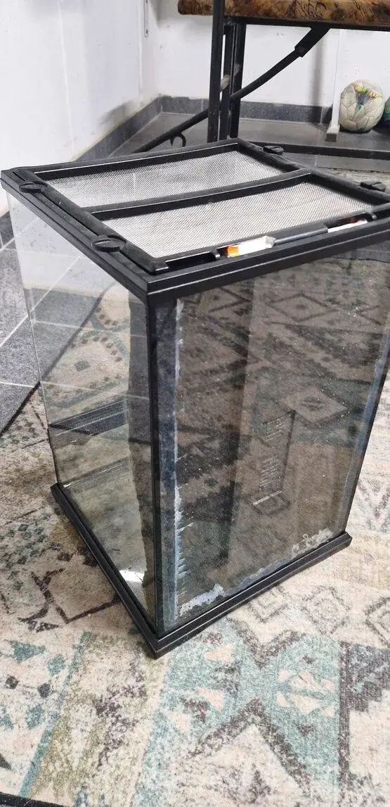 Exo terra terarium