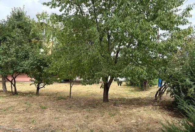 Dudince-K dispozícii: do nájmu malý pozemok na Okružnej