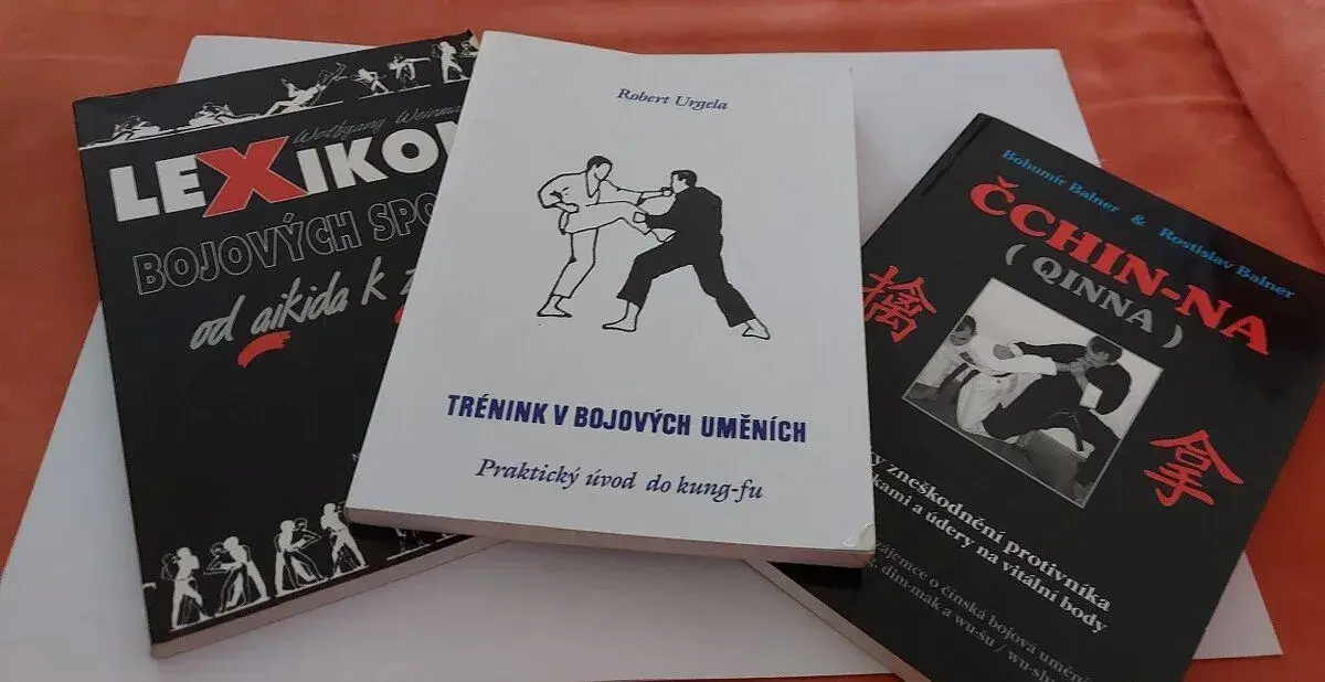 Trénink v bojových umění, Čchin-na, Lexikon bojových sportů