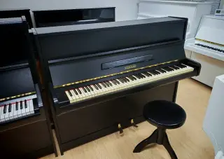 Piano Scholze dovoz celá SR