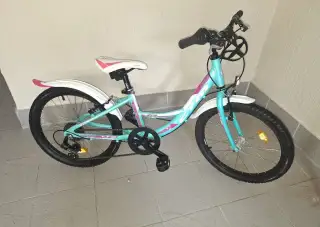 Detský bicykel 20kola Ctm dievčenský
