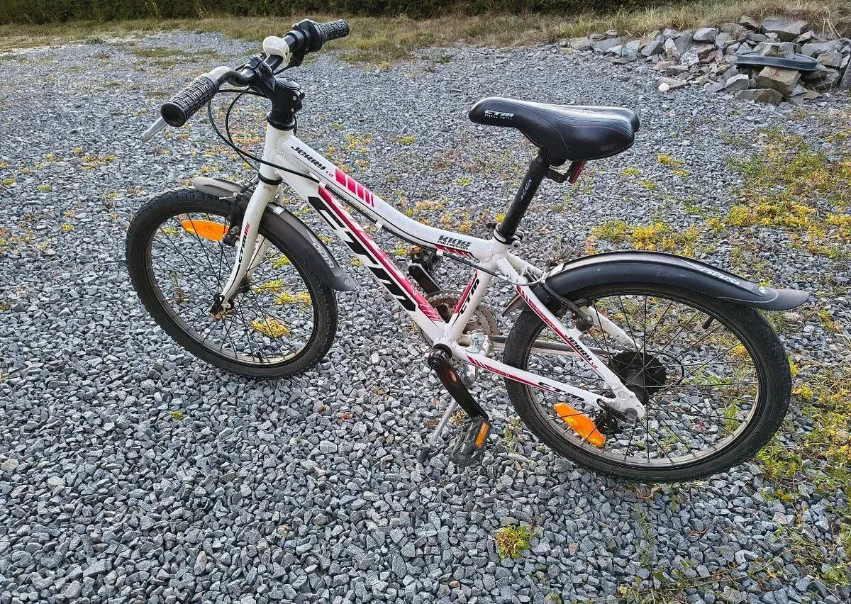 Detský bicykel CTM Jerry 1 20"