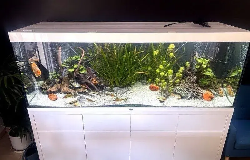 REZERVOVANÉ.Aquatlantis Sublime 200x75x70, objem 1016 litrov