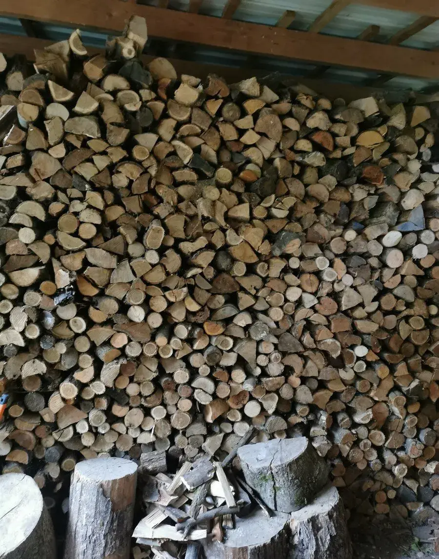 Palivové drevo – agát, buk, jaseň – Devín – 80 €/m³