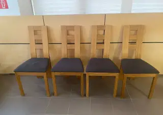 Dubová stoička RIMINY