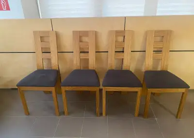Dubová stoička RIMINY