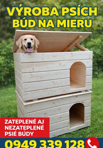 Búda pre psa