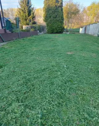 Kosenie a úprava záhrad (aj zanedbaných)
