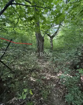 Záhrada na predaj, lokalita Kalvária