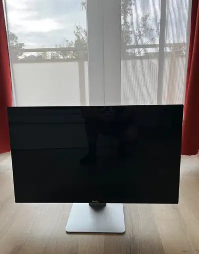 Monitor DELL