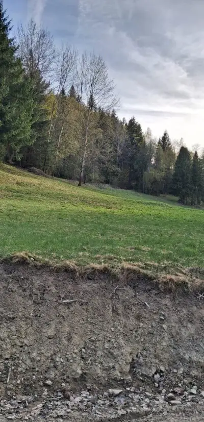 Predaj pozemku v Korni