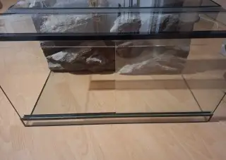 Terarium