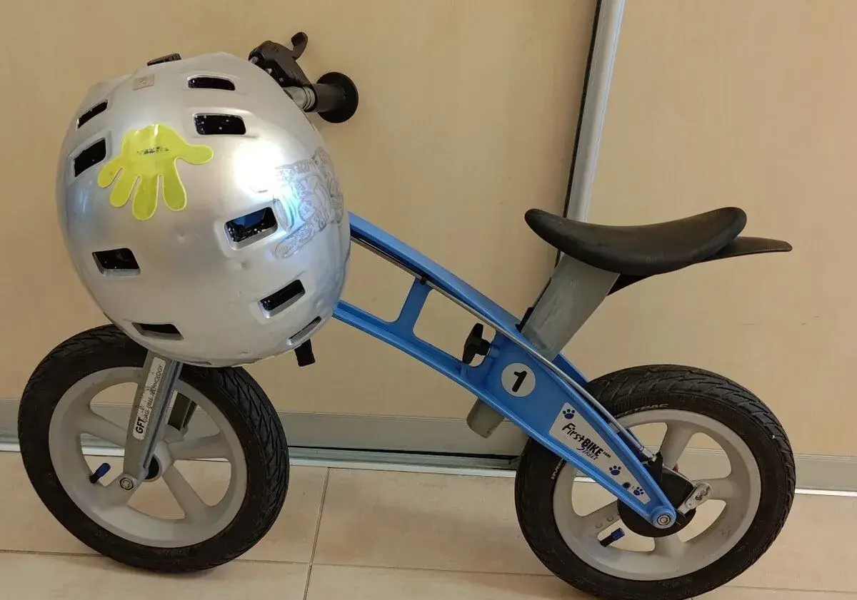 Detské odrážadlo First Bike