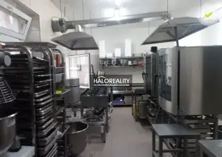 HALO reality - Prenájom, reštauračný priestor Prievidza - EX