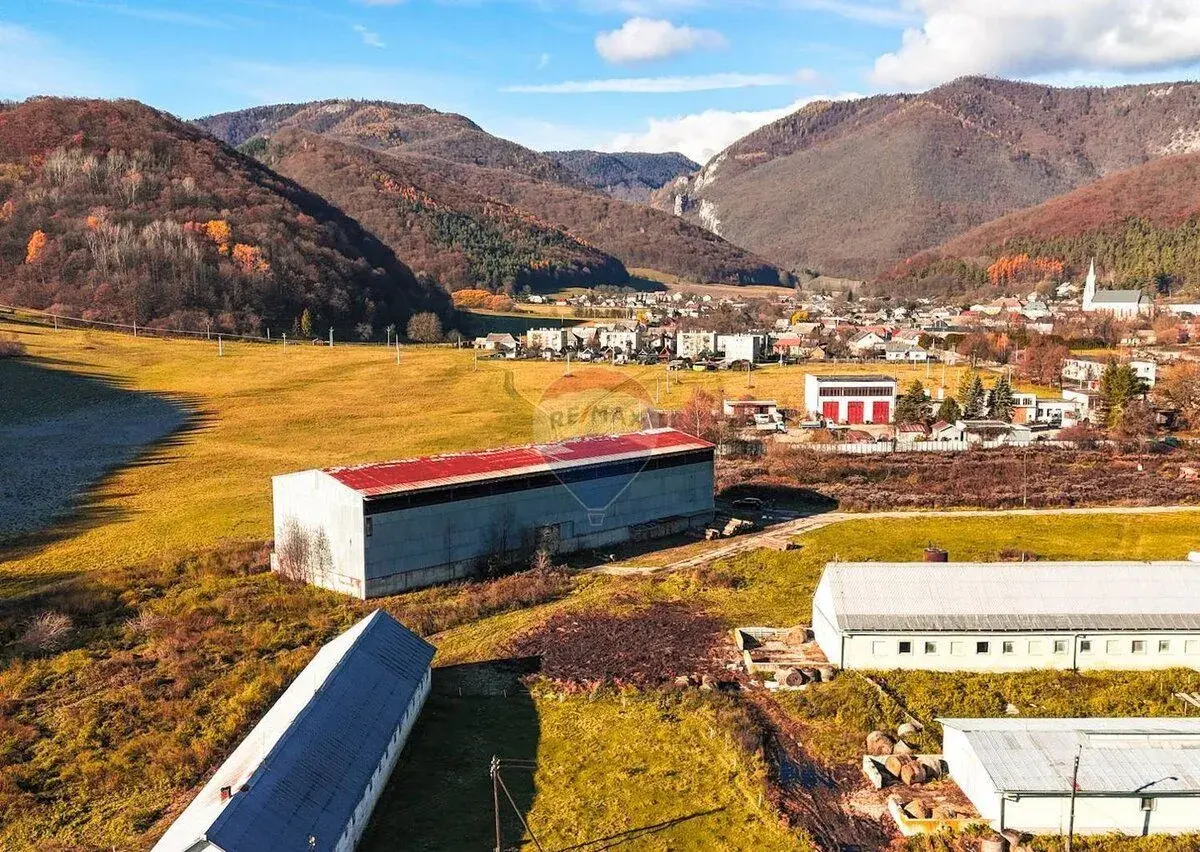 VÝROBNÁ HALA SO ŽERIAVOM - SKLAD, PÍLA | MURÁŇ