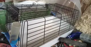 Klietka pre hlodavce