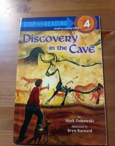 Discovery in the cave