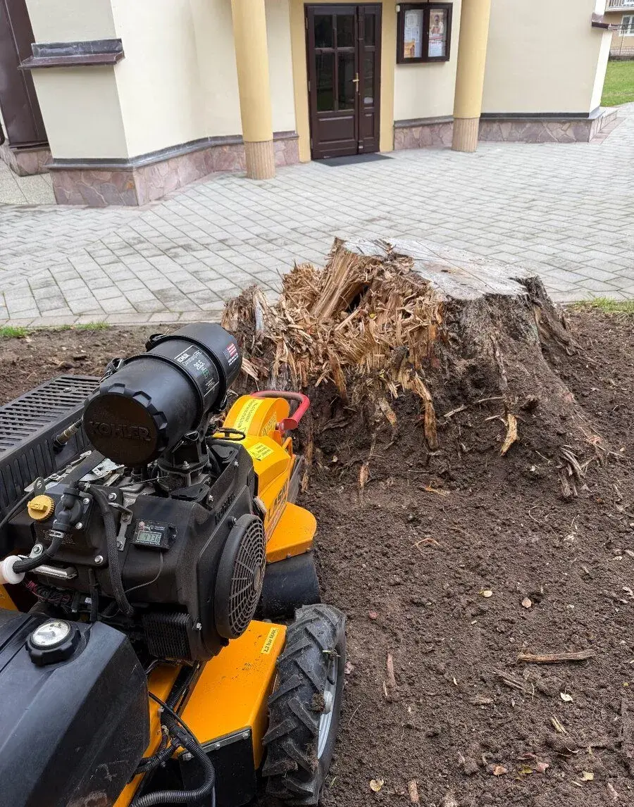 Profesionálne frézovanie a likvidácia pňov – rýchlo, bezpečn