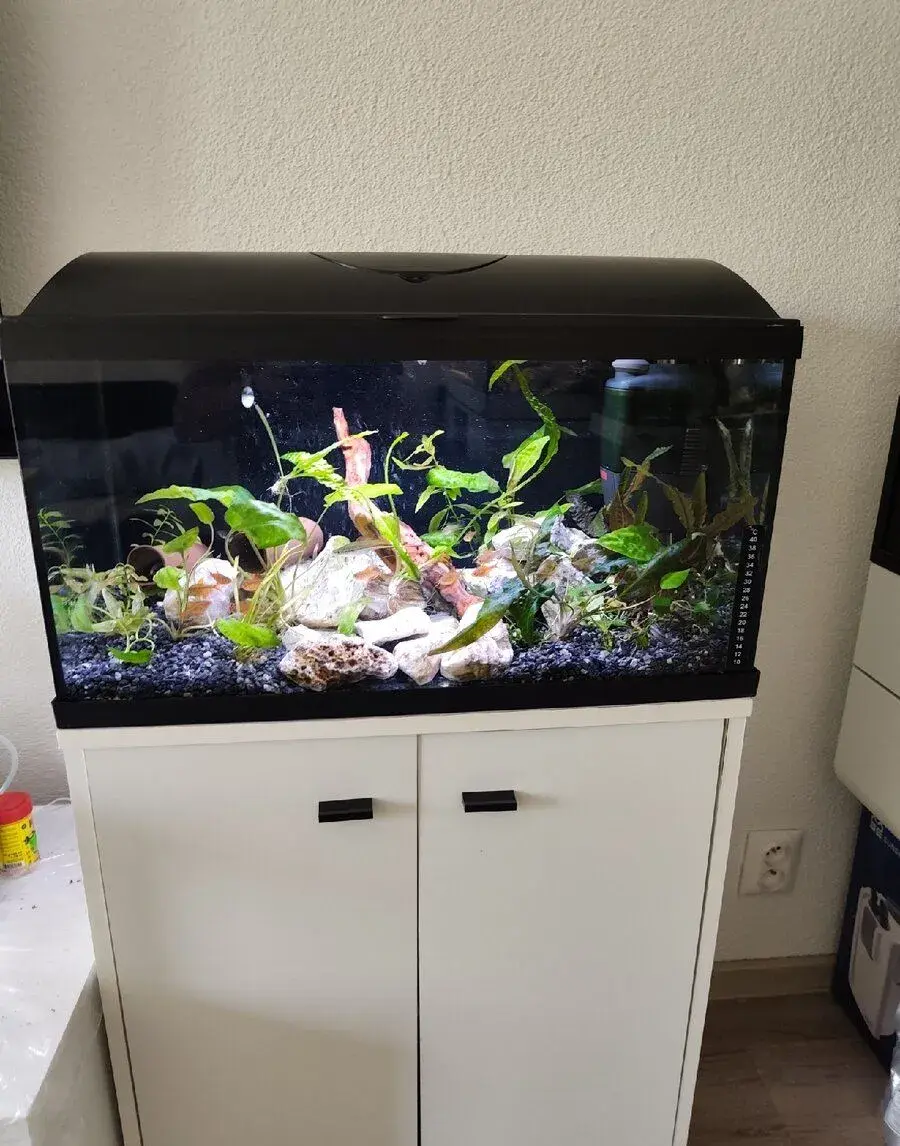 Akvarijný set 54 l so stolíkom a vybavením.