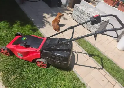 Elektrickú kosačku 1500W