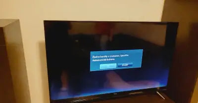 Veľký televízor