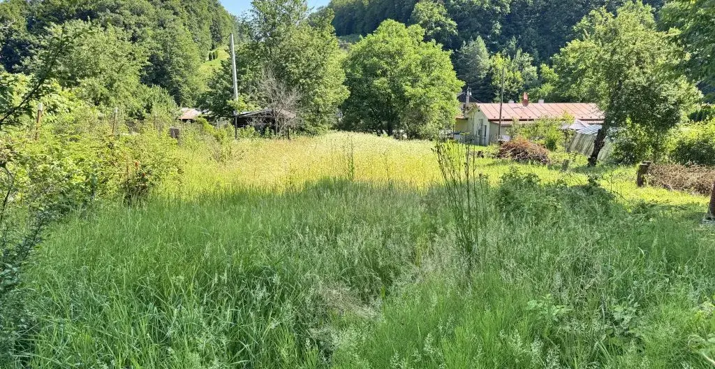 Baška - časť Maša, Veľká záhrada v chatovej lokalite, Košice
