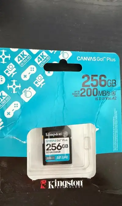 Kingston SDXC Canvas Go Plus Gen4 256 GB