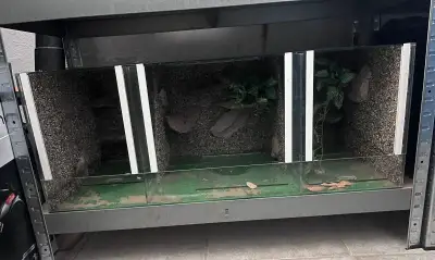 Terárium