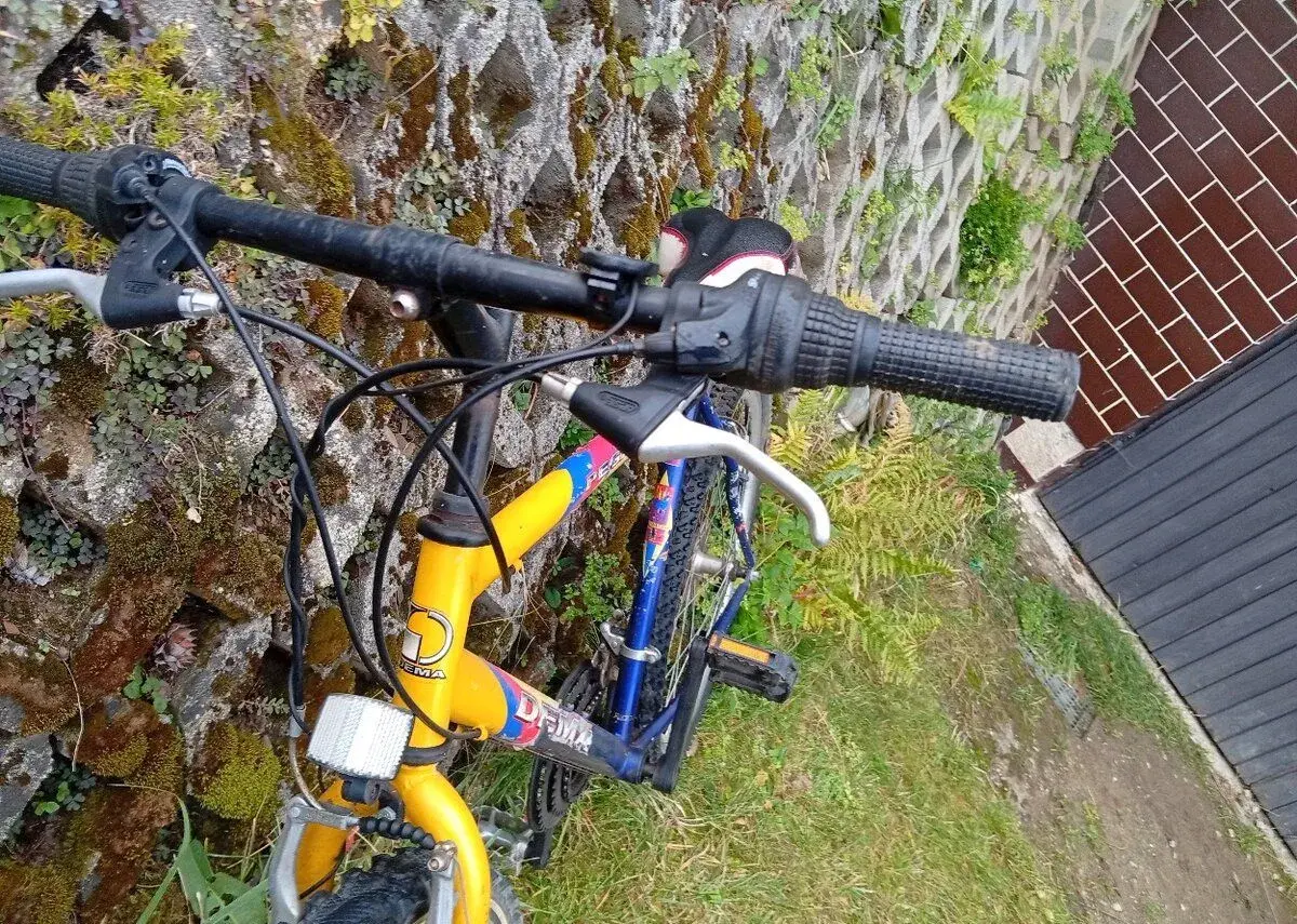 Používaný S palcovy bicykel horský Dema Pegas