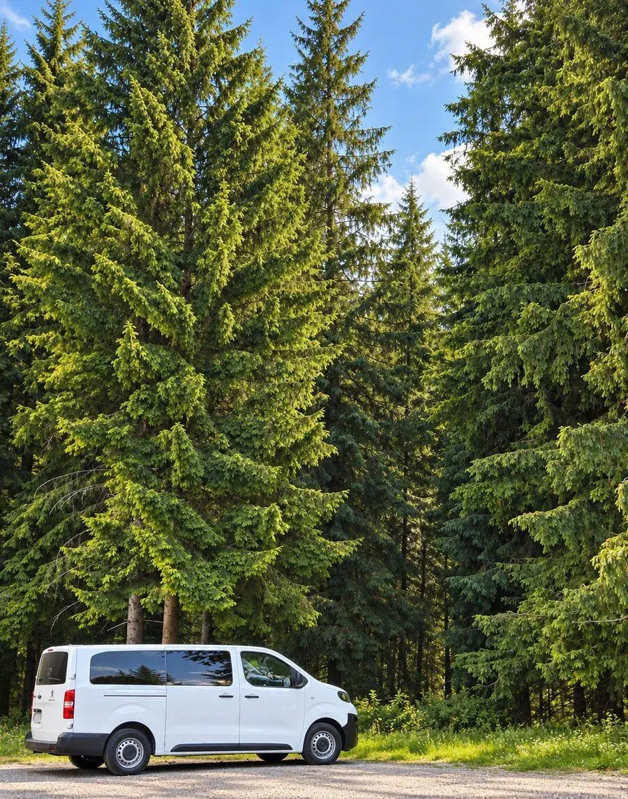 Peugeot Expert – 2019, 225 000 km