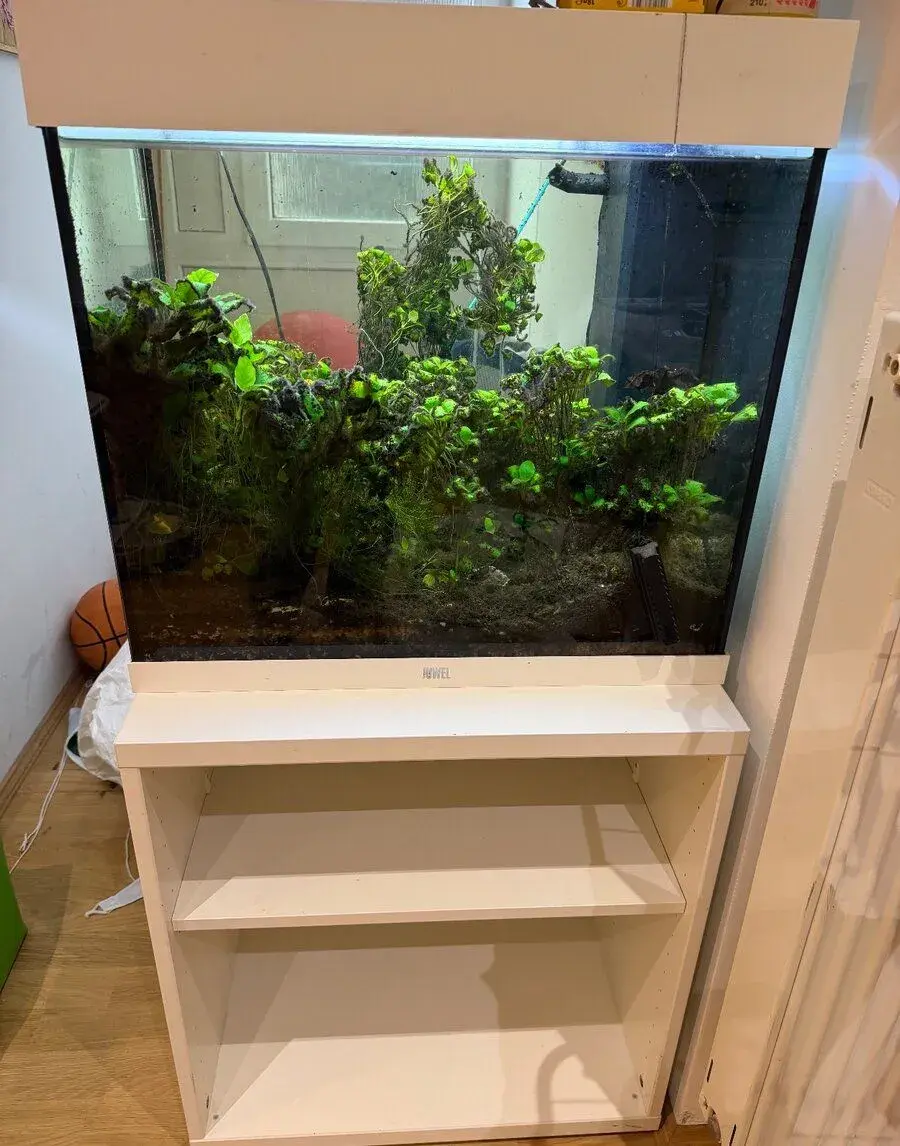 akvarium komplet s prislusentsvom