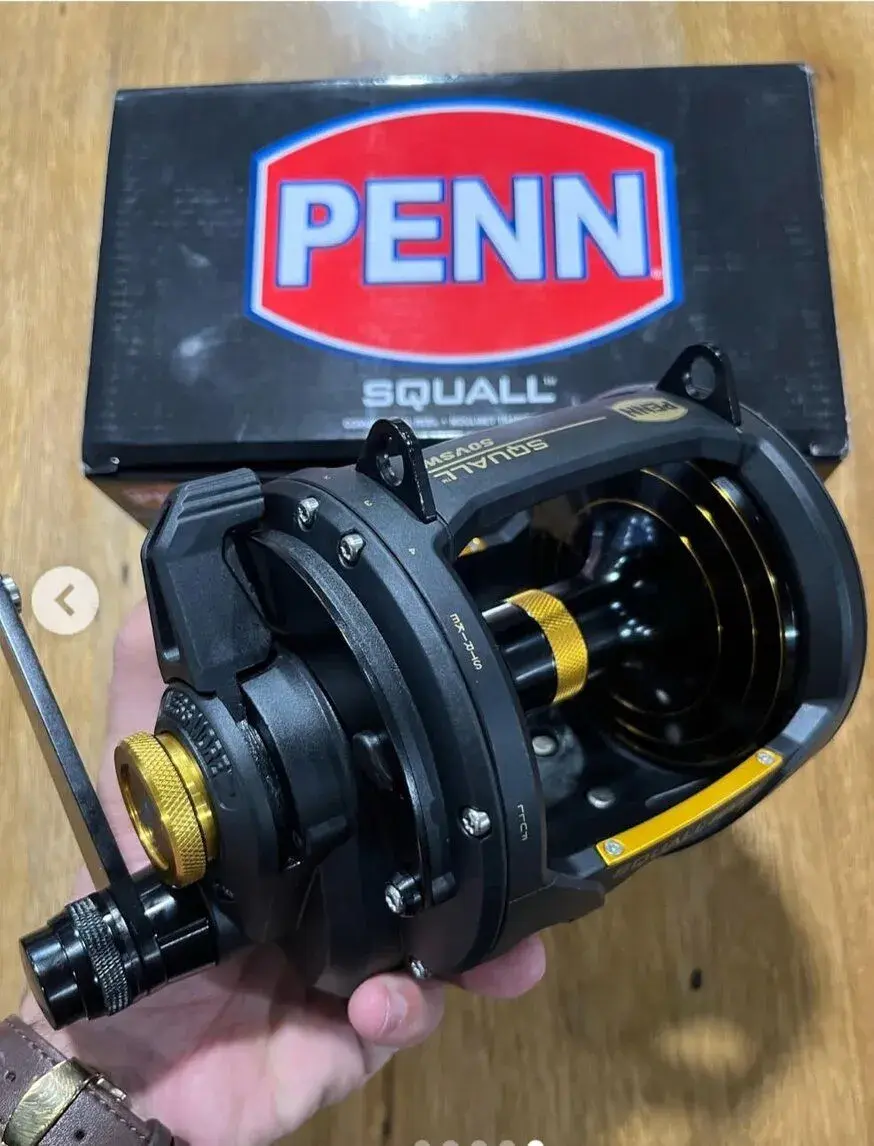 Penn squall