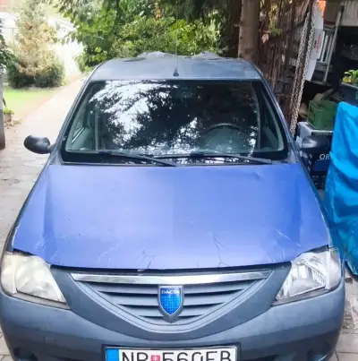 Daciu Logan
