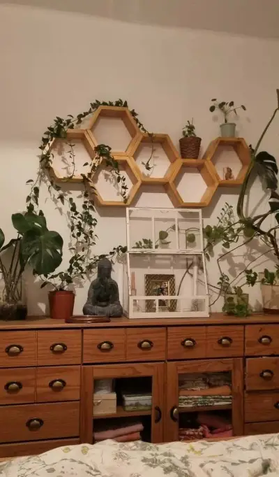 Hexagonove police