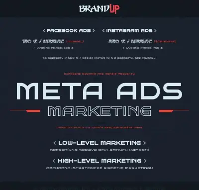 Facebook reklama a Facebook Ads správa kampaní – Freelancer