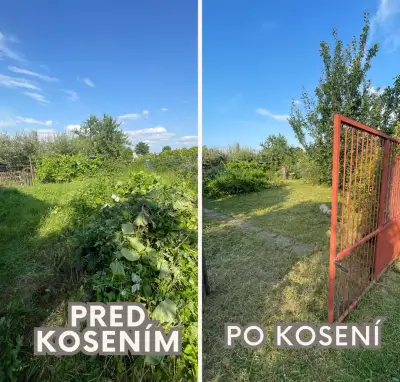 KOSENIE TRÁVY, PÍLENIE DREVA, ÚDRŽBA OD 30€
