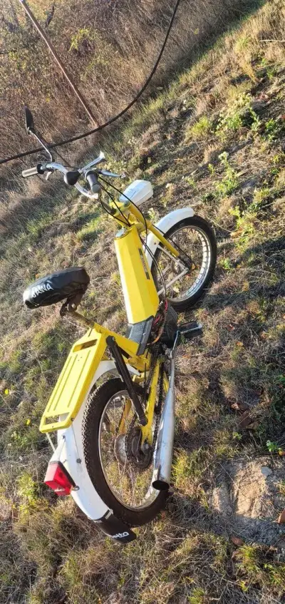 babeta 207