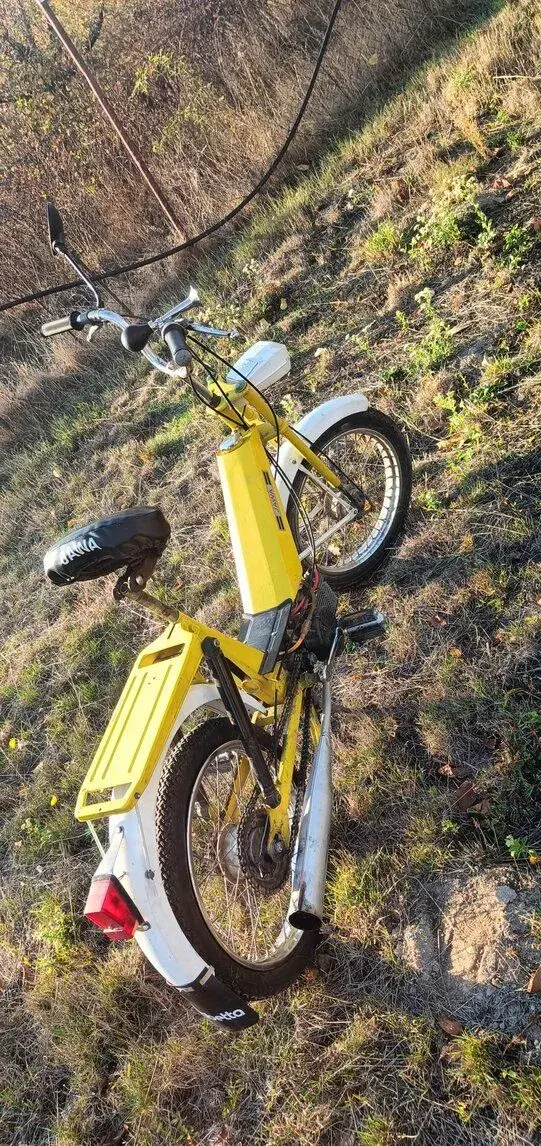 babeta 207