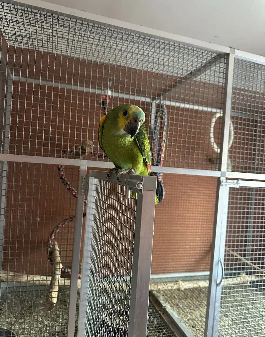 Ponuka