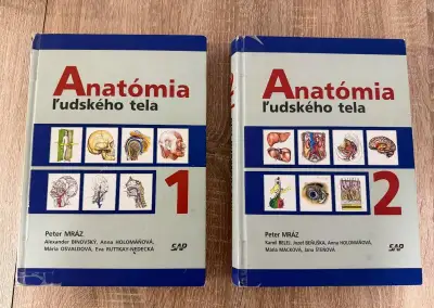 Anatómia Mráz