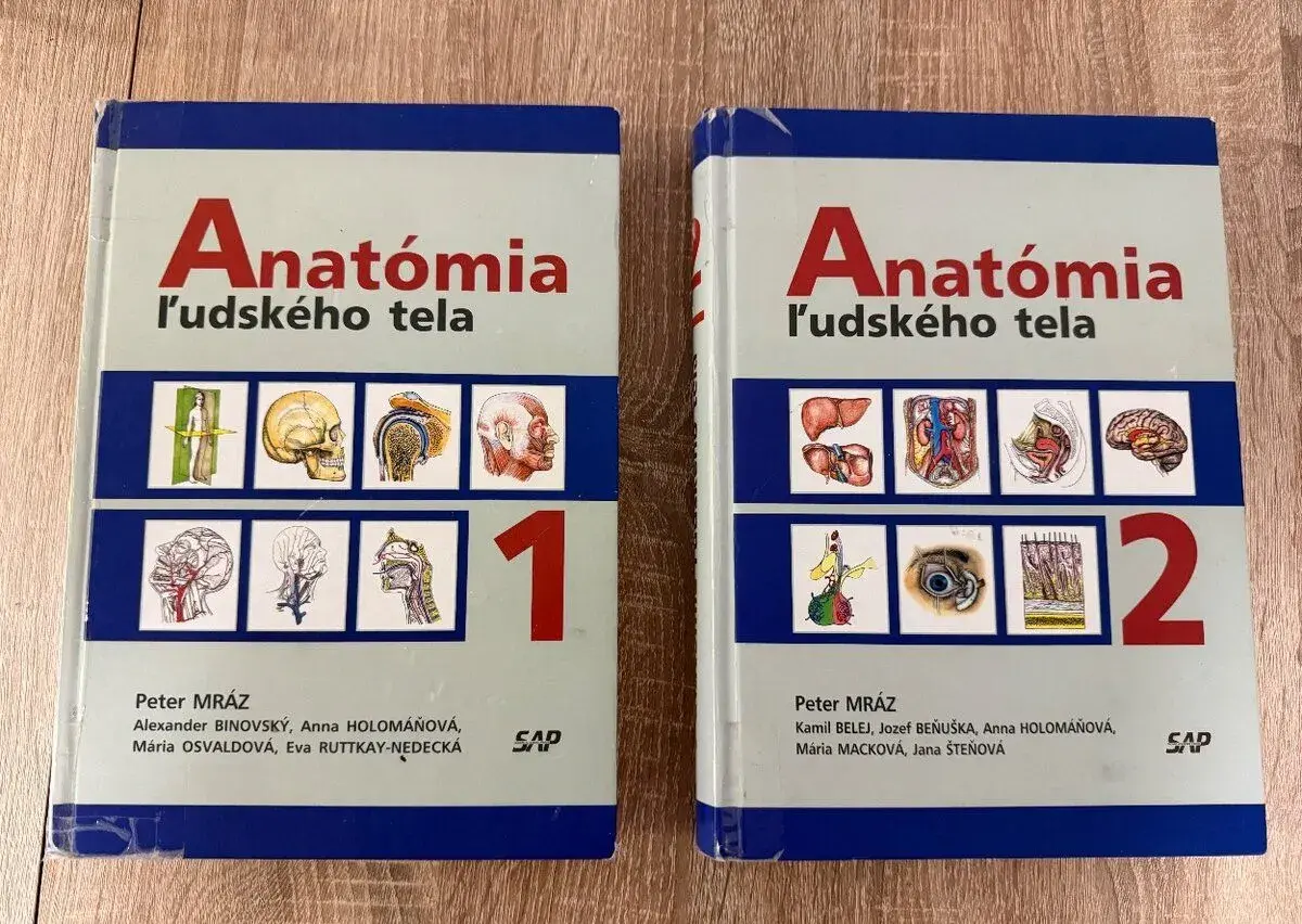 Anatómia Mráz
