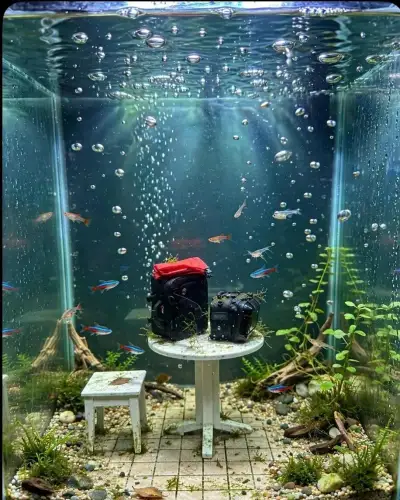 Bočné tašky Qbag.
