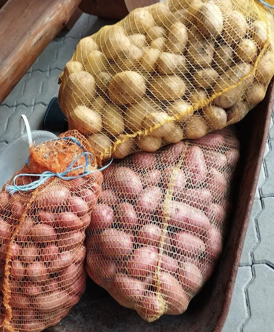 Domáce zemiaky na zimné uskladnenie