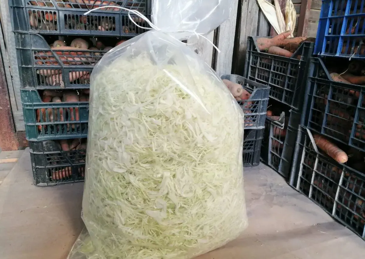 Domáca rezaná kapusta na kvasenie