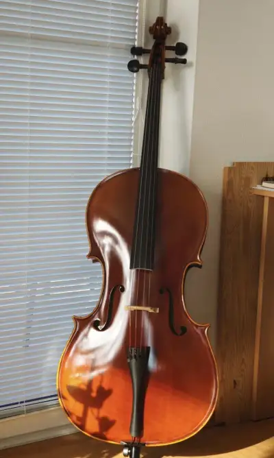 Violončelo 4/4